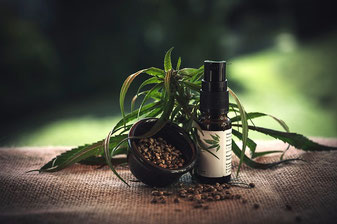 Was ist CBD Öl und warum ist es aktuell so beliebt?